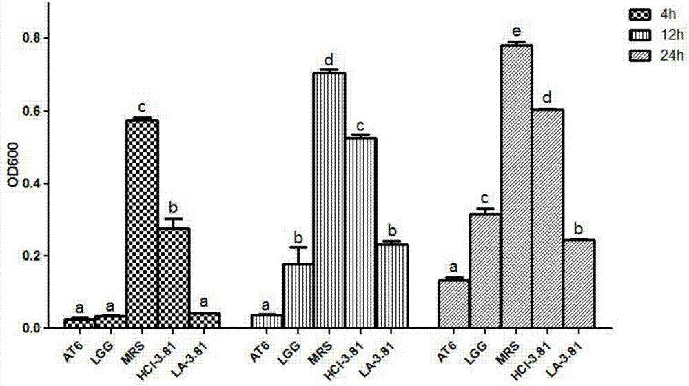 全球信誉最好的网投平台