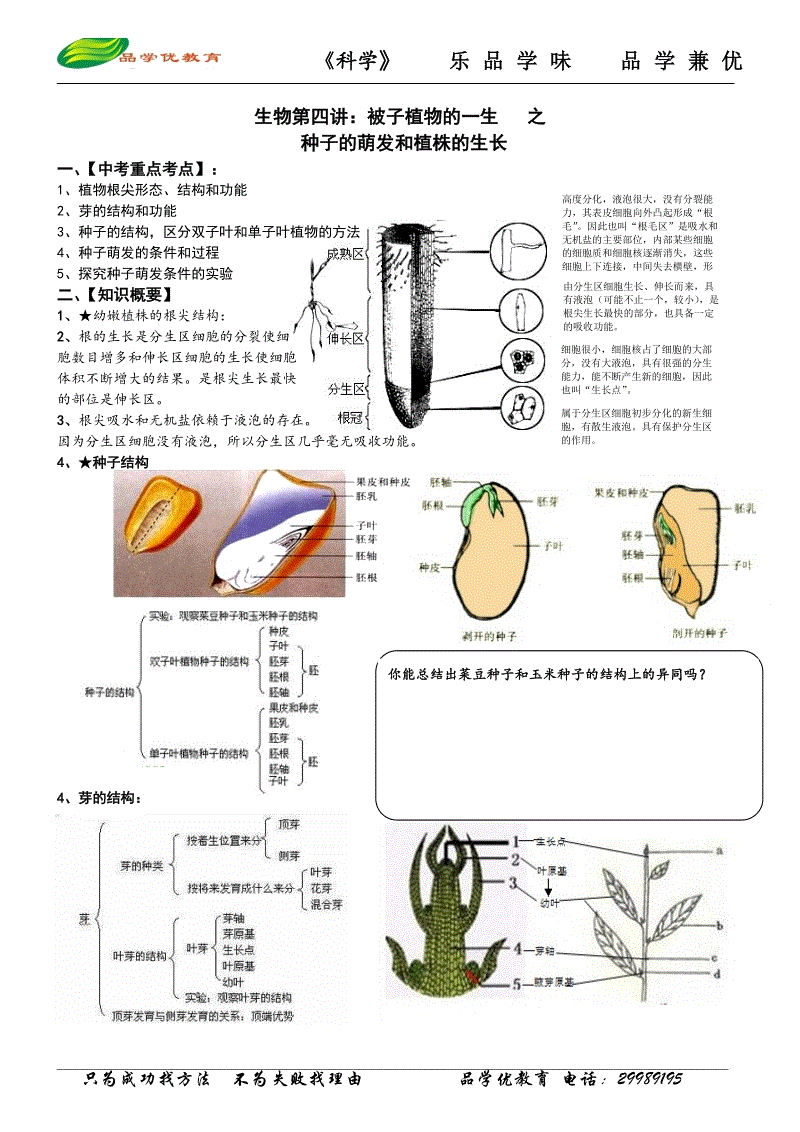 十大网投平台大全